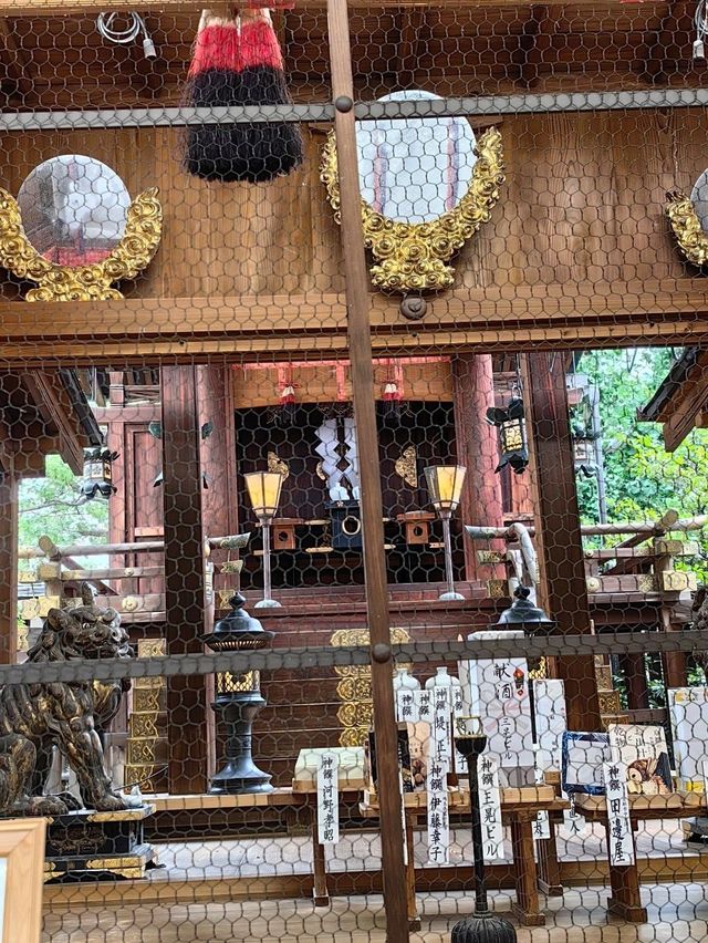 去京都摸下發達牛