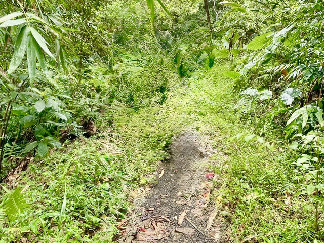 十七寮山輕鬆走