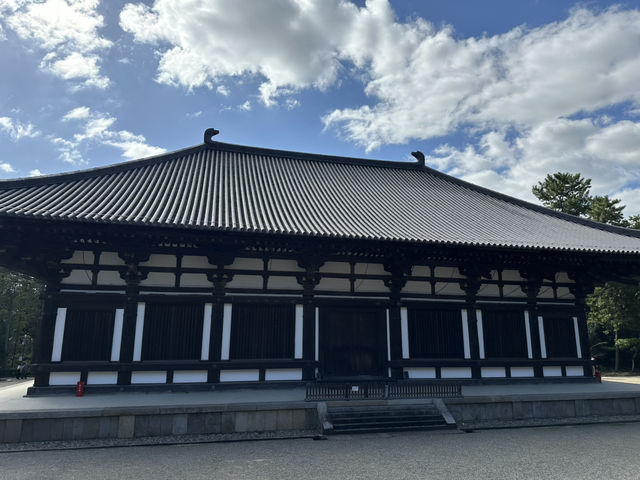 唐招提寺：探索奈良的佛教瑰寶，感受千年文化的深厚底蘊！
