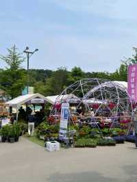 Boramae Park, Seoul – A Peaceful Urban Green Space