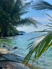 Jungle Meets Sea