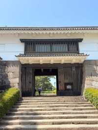 Discover the Magic of Hotoku Ninomiya Shrine: A Summer Adventure in Japan!