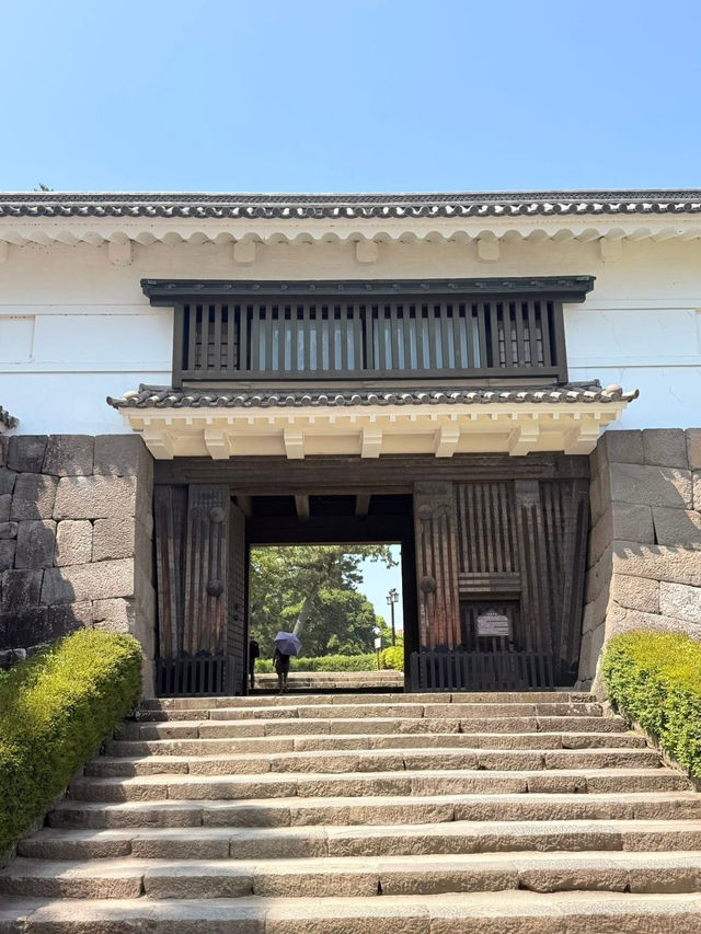 Discover the Magic of Hotoku Ninomiya Shrine: A Summer Adventure in Japan!