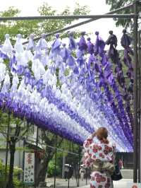 袋井｜法多山の“紫のてるてる坊主”の道が幻想的すぎた！