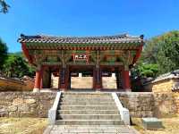 Hidden Peace on the Hillside: Beomeosa Temple, Busan