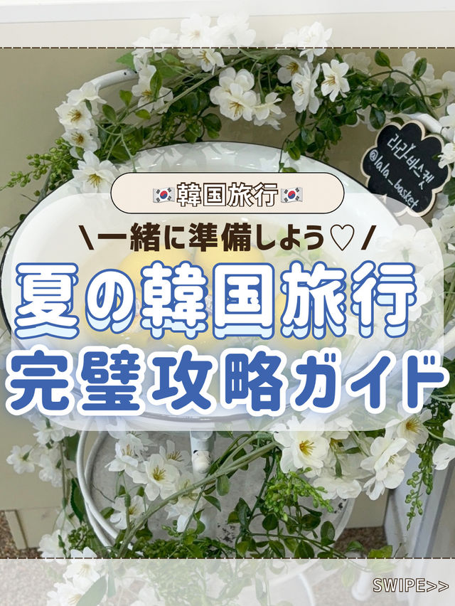 🇰🇷夏渡韓する人必見！夏渡韓攻略ガイド📙🌻
