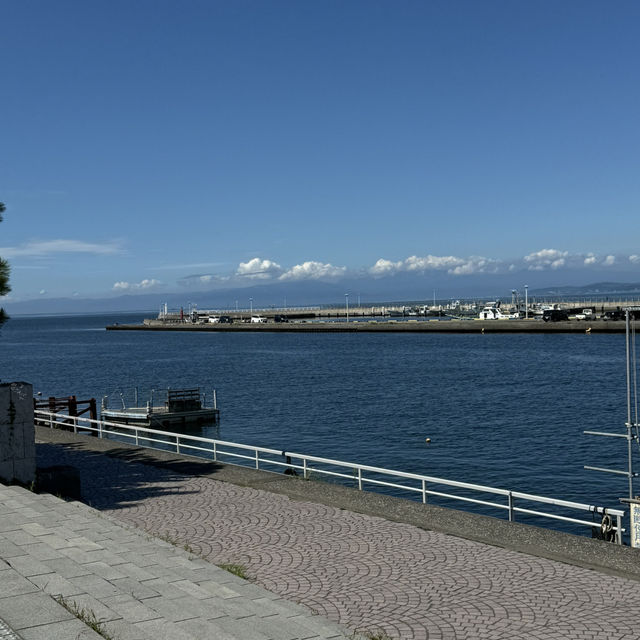 【江ノ島旅行】海を楽しみたい！🏖️