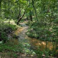 Chickasaw National Recreation Area – Sulphur, OK