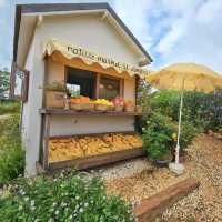 Donghouse Khaoyai