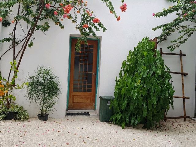 "Discover Local Life on Rasdhoo Island, Maldives 🏝️🌺🇲🇻"