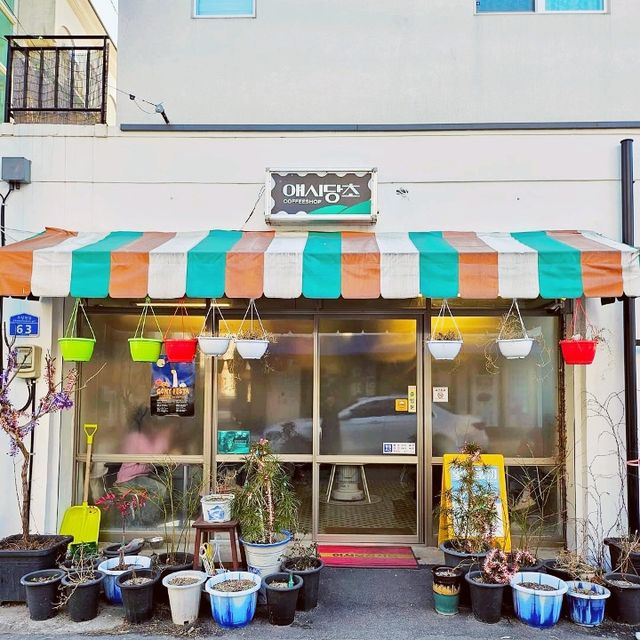 Gangneung must-visit! 