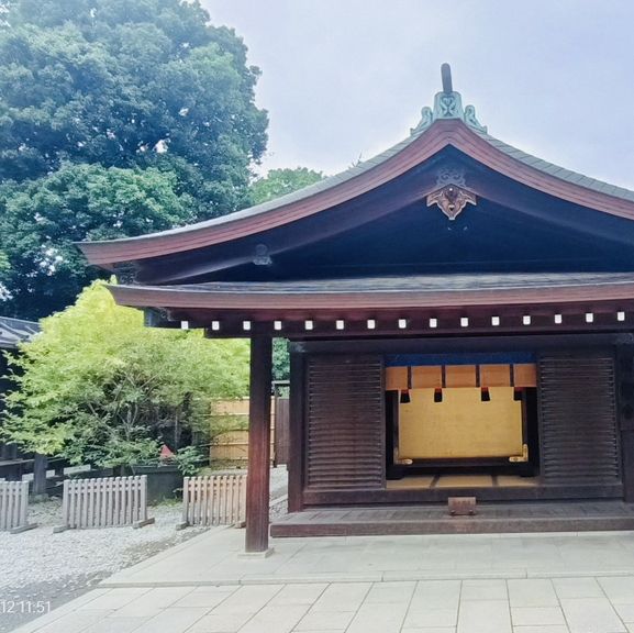 Meiji Jingu: A Tranquil Path to Tokyo’s Sacred Heart