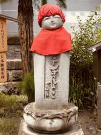 Zenkō-ji Temple (善光寺) – A Sacred Retreat in Nagano⛩️✨