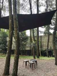 Teduh Coffee