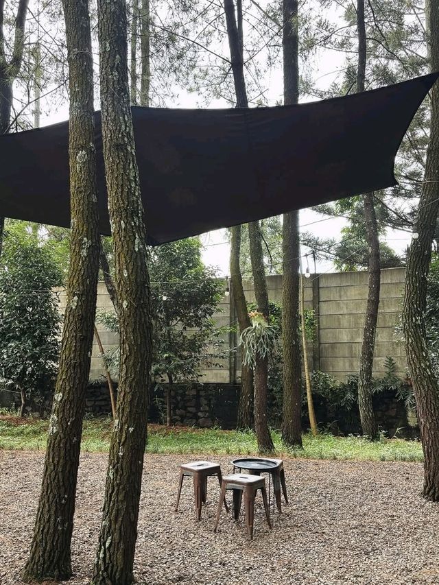 Teduh Coffee