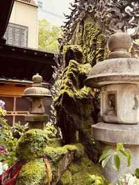 Hozen-ji Temple (法善寺) – Namba’s Hidden Oasis of Moss & Magic** 🍃✨ 