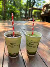Arborea Cafe: The Chill Spot Beneath the Leaves