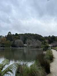7D6N Melbourne & Beyond Adventure!