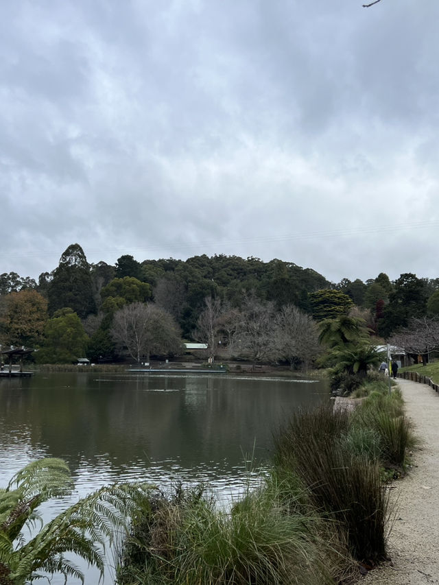7D6N Melbourne & Beyond Adventure!
