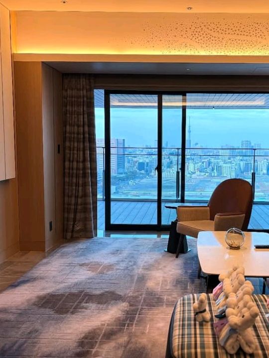🏨 Mesm Tokyo – Where Art, Rhythm & the Bay Breathe as One 🎶🌊