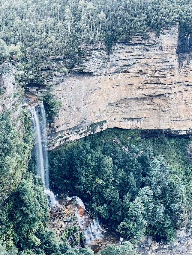 A Sydney escape to remember 
