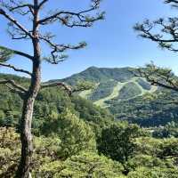 사람과 자연이 교감할 수 있는 곳, 경기 광주 화담숲 🌿