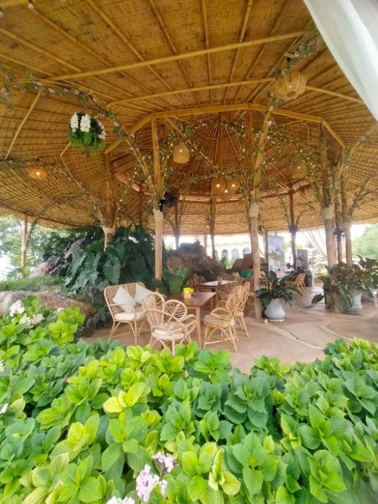 เดอะ พีค ฟลาวเวอร์แลนด์ 🌹🌻🪻🌼สวนดอกไม้และคาเฟ่