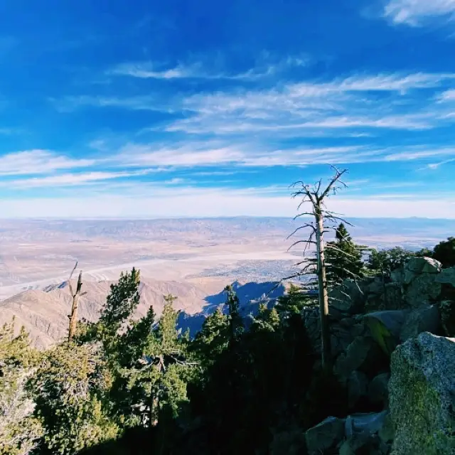 Relaxing Desert Escape in Palm Springs