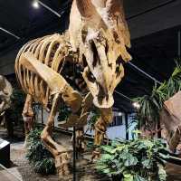 Houston Museum of Natural Science