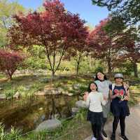 🇰🇷 How to spend 28 days in Seoul