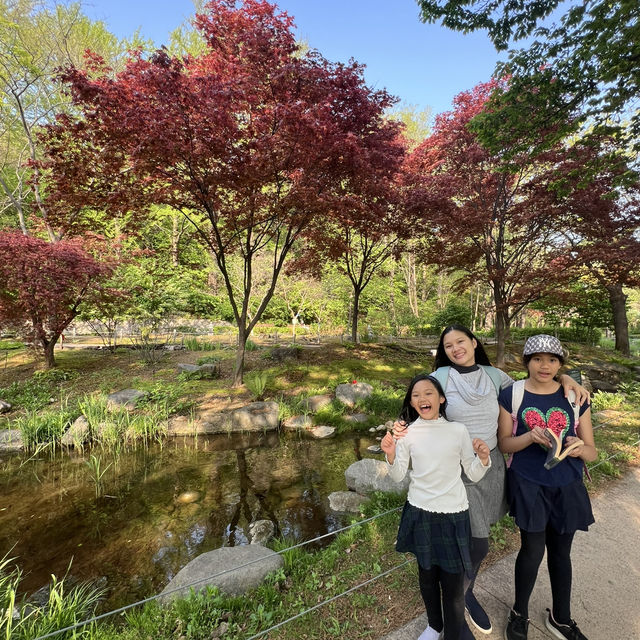 🇰🇷 How to spend 28 days in Seoul