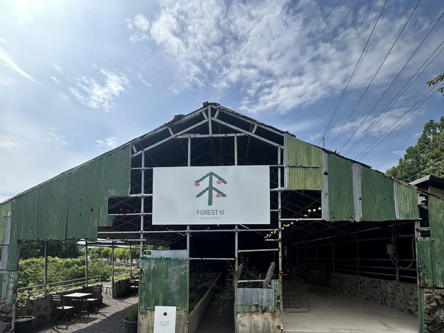 Cafe Forest J