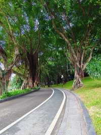 Nankai Park 🌳🌆🍃