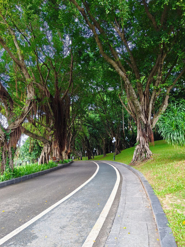 Nankai Park 🌳🌆🍃