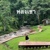หลงเขา คาเฟ่กลางป่าจังหวัดน่าน
