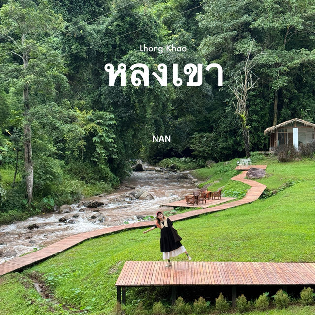 หลงเขา คาเฟ่กลางป่าจังหวัดน่าน
