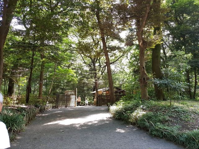 วัดเมจิ (Meiji Jingu) – ศาลเจ้าศักดิ์สิทธิ์