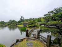 彥根 | 玄宮園，引琵琶湖水而成的日式庭園