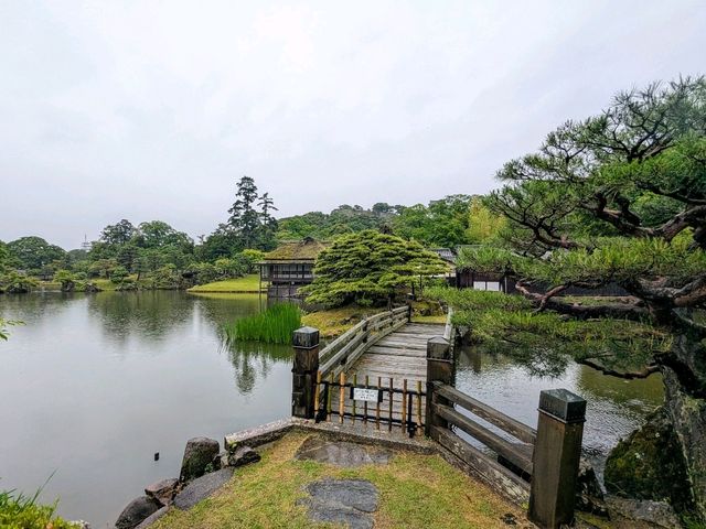 彥根 | 玄宮園，引琵琶湖水而成的日式庭園