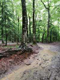 Waterfalls and Forest Feels on the Ruta a la Cola de Caballo