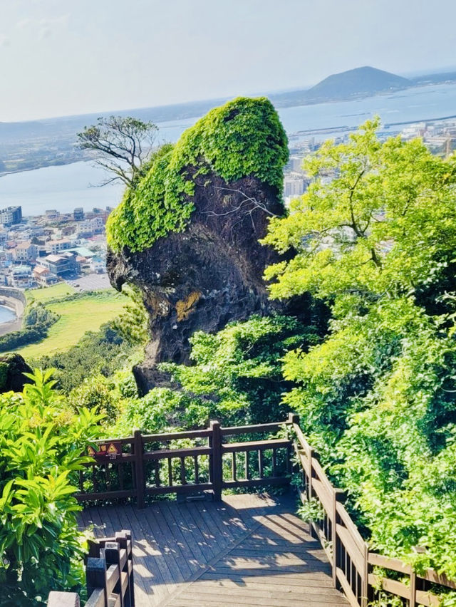 Panoramic Views and Coastal Beauty from the Summit