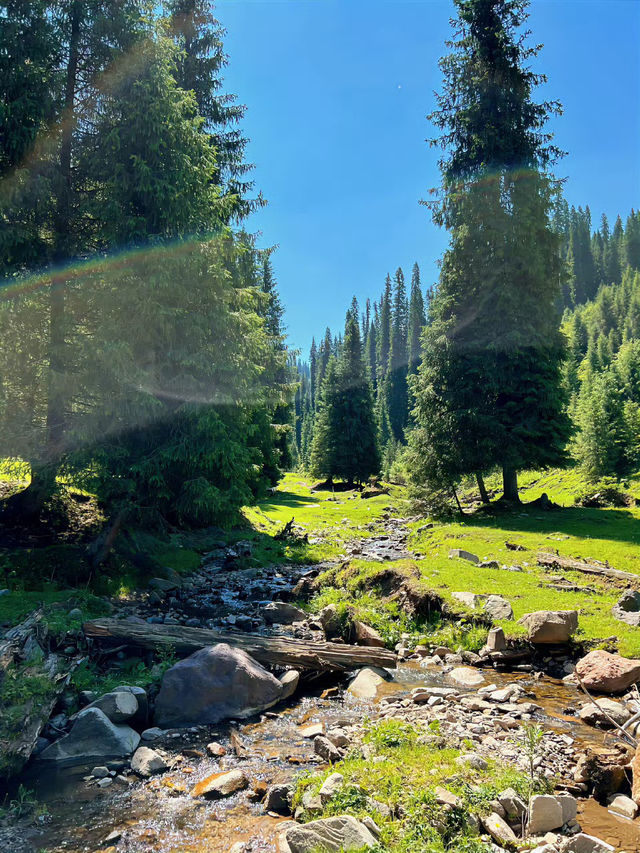 🌿 Xinjiang Can Heal Everything