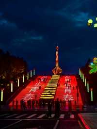 The Best Night View in Mohe Polaris