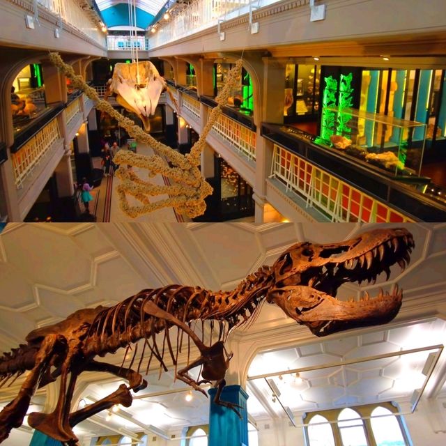 Manchester Museum