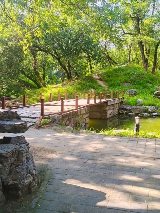 🌳 : Yuanmingyuan Park เที่ยวปักกิ่ง จีน