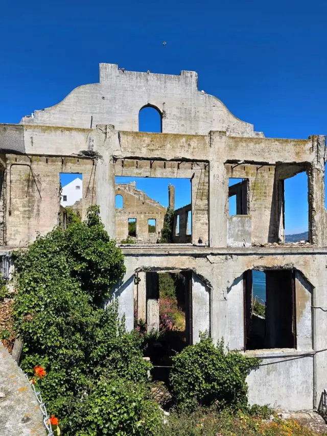 🎭 In the Mood for Alcatraz｜A Poetic Take on “The Rock”