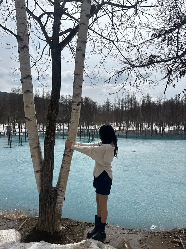 삿포로 비에이, 인생사진 건지는 포토스팟 5곳!