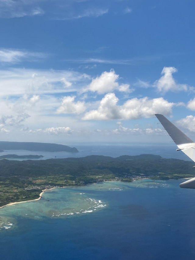 奄美大島で心ほどける島時間。青い海と緑の森に癒される旅
