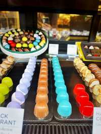 癒しと贅沢のバンサーツアー：チョコ、グリーン、蘭のある暮らし
