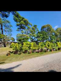 【香川旅】海と城が融合した絶景スポット!高松城跡・玉藻公園で歴史と癒しを満喫